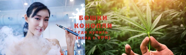 крисы Армянск