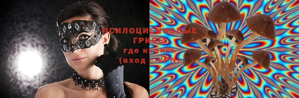 крисы Армянск
