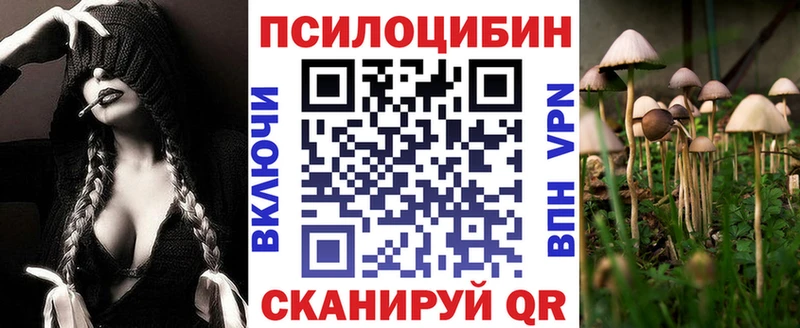 купить наркотики сайты  Безенчук  hydra зеркало  Псилоцибиновые грибы GOLDEN TEACHER 